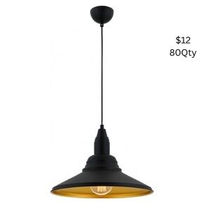 Black and Gold Pendant Light